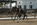 Journées du cheval de race, Golega, Portugal. Dressage